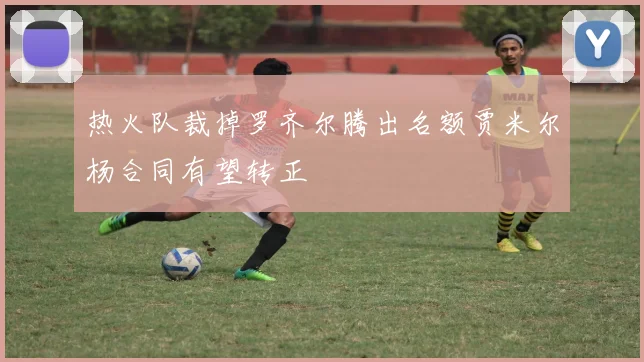 热火队裁掉罗齐尔腾出名额贾米尔杨合同有望转正