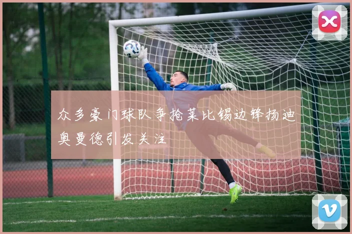 众多豪门球队争抢莱比锡边锋扬迪奥曼德引发关注